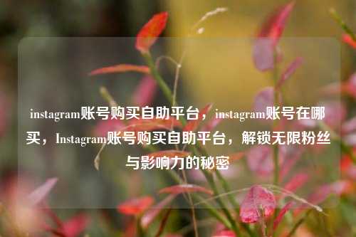 instagram账号购买自助平台，instagram账号在哪买，Instagram账号购买自助平台，解锁无限粉丝与影响力的秘密