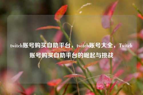 twitch账号购买自助平台，twitch账号大全，Twitch账号购买自助平台的崛起与挑战