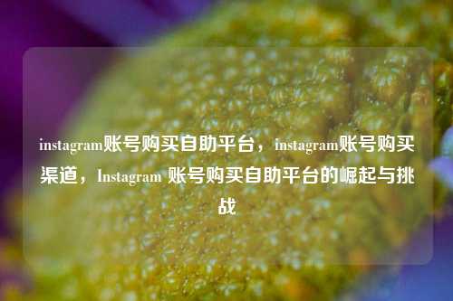 instagram账号购买自助平台，instagram账号购买渠道，Instagram 账号购买自助平台的崛起与挑战