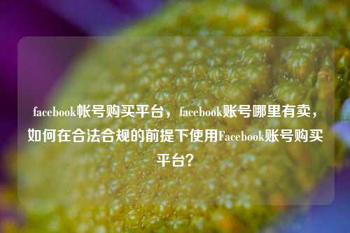facebook帐号购买平台，facebook账号哪里有卖，如何在合法合规的前提下使用Facebook账号购买平台？