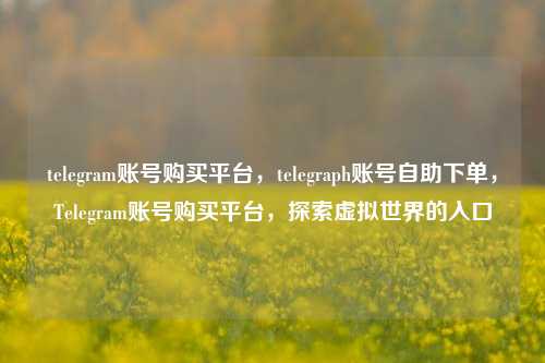 telegram账号购买平台，telegraph账号自助下单，Telegram账号购买平台，探索虚拟世界的入口