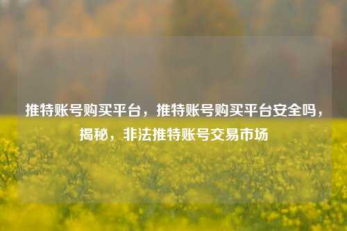 推特账号购买平台，推特账号购买平台安全吗，揭秘，非法推特账号交易市场