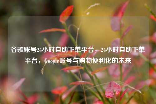谷歌账号24小时自助下单平台，24小时自助下单平台，Google账号与购物便利化的未来