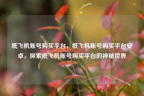 纸飞机账号购买平台，纸飞机账号购买平台安卓，探索纸飞机账号购买平台的神秘世界