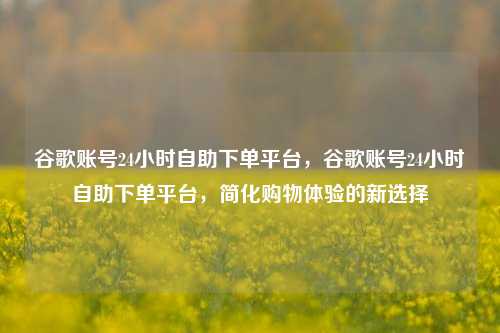 谷歌账号24小时自助下单平台，谷歌账号24小时自助下单平台，简化购物体验的新选择