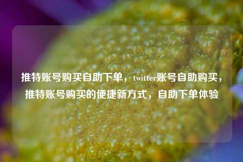 推特账号购买自助下单，twitter账号自助购买，推特账号购买的便捷新方式，自助下单体验
