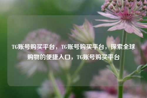 TG账号购买平台，TG账号购买平台，探索全球购物的便捷入口，TG账号购买平台