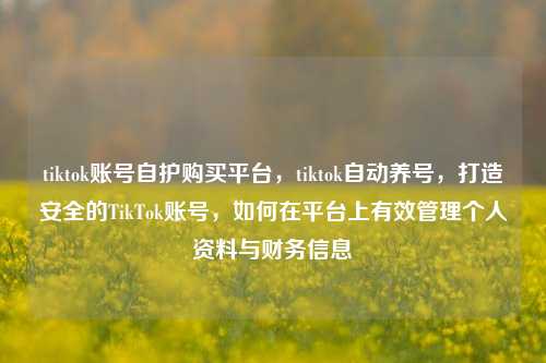tiktok账号自护购买平台，tiktok自动养号，打造安全的TikTok账号，如何在平台上有效管理个人资料与财务信息