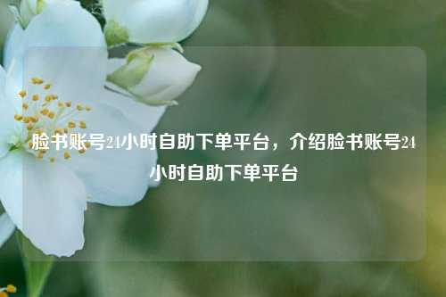 脸书账号24小时自助下单平台，介绍脸书账号24小时自助下单平台  第1张