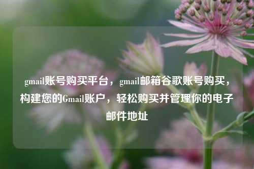 gmail账号购买平台，gmail邮箱谷歌账号购买，构建您的Gmail账户，轻松购买并管理你的电子邮件地址