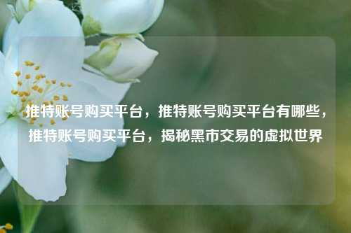 推特账号购买平台，推特账号购买平台有哪些，推特账号购买平台，揭秘黑市交易的虚拟世界