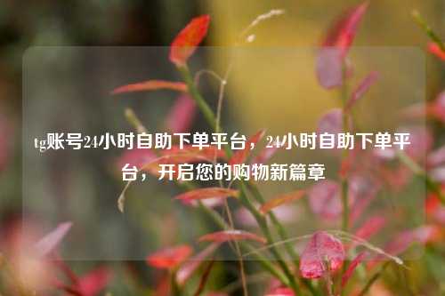 tg账号24小时自助下单平台，24小时自助下单平台，开启您的购物新篇章