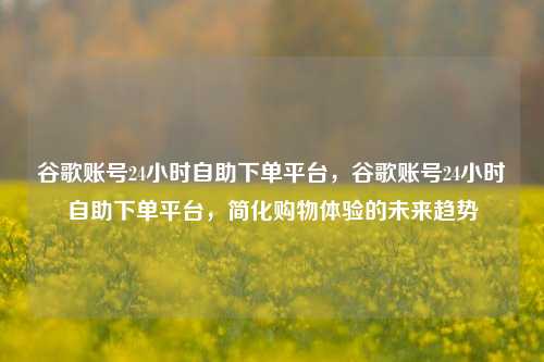 谷歌账号24小时自助下单平台，谷歌账号24小时自助下单平台，简化购物体验的未来趋势  第1张