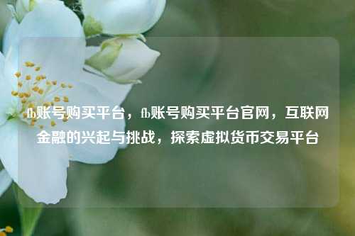fb账号购买平台，fb账号购买平台官网，互联网金融的兴起与挑战，探索虚拟货币交易平台