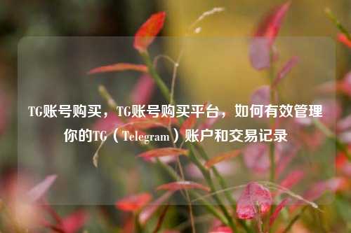 TG账号购买，TG账号购买平台，如何有效管理你的TG（Telegram）账户和交易记录