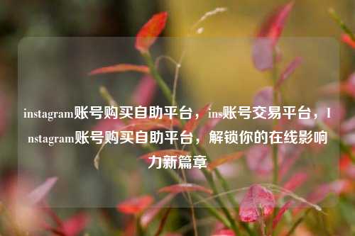 instagram账号购买自助平台，ins账号交易平台，Instagram账号购买自助平台，解锁你的在线影响力新篇章