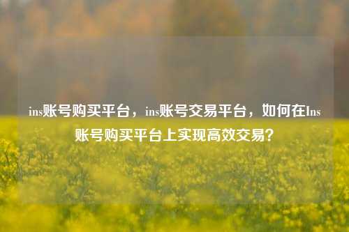 ins账号购买平台，ins账号交易平台，如何在Ins账号购买平台上实现高效交易？