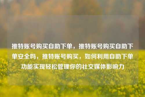 推特账号购买自助下单，推特账号购买自助下单安全吗，推特账号购买，如何利用自助下单功能实现轻松管理你的社交媒体影响力
