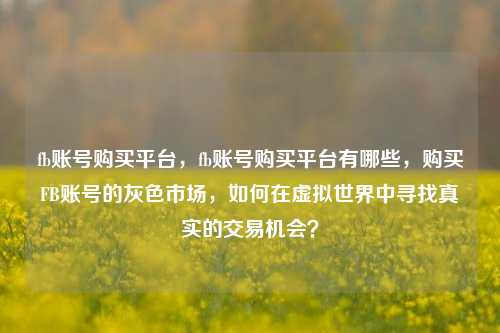fb账号购买平台，fb账号购买平台有哪些，购买FB账号的灰色市场，如何在虚拟世界中寻找真实的交易机会？