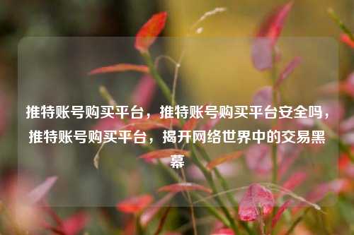 推特账号购买平台，推特账号购买平台安全吗，推特账号购买平台，揭开网络世界中的交易黑幕