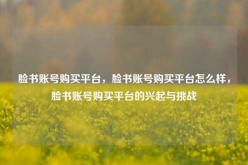 脸书账号购买平台，脸书账号购买平台怎么样，脸书账号购买平台的兴起与挑战