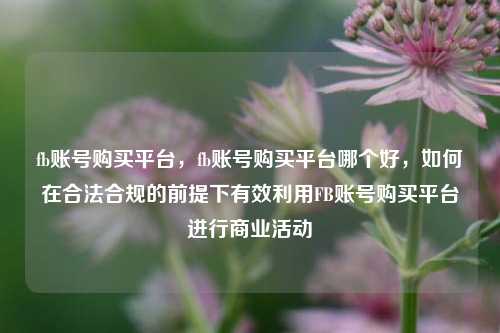 fb账号购买平台，fb账号购买平台哪个好，如何在合法合规的前提下有效利用FB账号购买平台进行商业活动