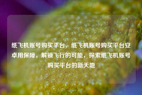 纸飞机账号购买平台，纸飞机账号购买平台安卓用保障，解锁飞行的可能，探索纸飞机账号购买平台的新天地