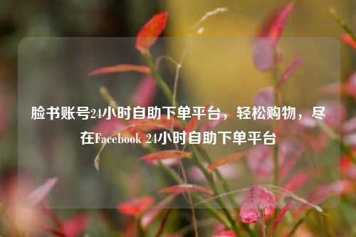 脸书账号24小时自助下单平台，轻松购物，尽在Facebook 24小时自助下单平台