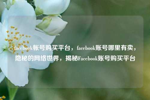 facebook帐号购买平台，facebook账号哪里有卖，隐秘的网络世界，揭秘Facebook账号购买平台