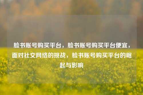 脸书账号购买平台，脸书账号购买平台便宜，面对社交网络的挑战，脸书账号购买平台的崛起与影响