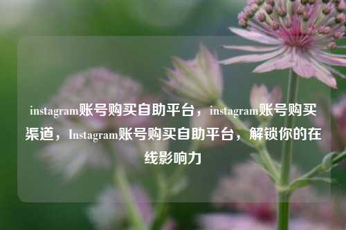 instagram账号购买自助平台，instagram账号购买渠道，Instagram账号购买自助平台，解锁你的在线影响力