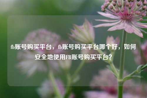 fb账号购买平台，fb账号购买平台哪个好，如何安全地使用FB账号购买平台？