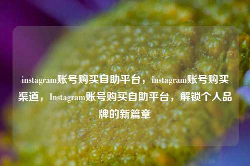 instagram账号购买自助平台，instagram账号购买渠道，Instagram账号购买自助平台，解锁个人品牌的新篇章