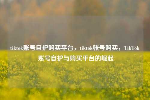 tiktok账号自护购买平台，tiktok帐号购买，TikTok 账号自护与购买平台的崛起