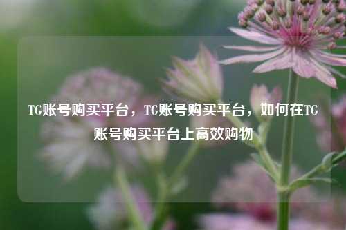 TG账号购买平台，TG账号购买平台，如何在TG账号购买平台上高效购物