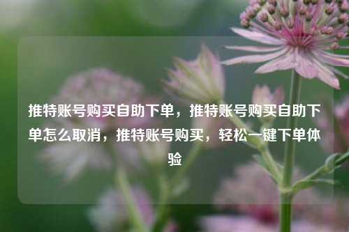 推特账号购买自助下单，推特账号购买自助下单怎么取消，推特账号购买，轻松一键下单体验