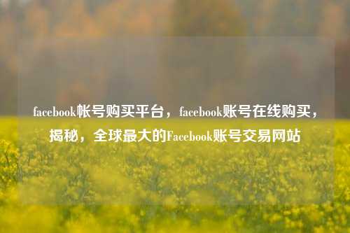 facebook帐号购买平台，facebook账号在线购买，揭秘，全球最大的Facebook账号交易网站