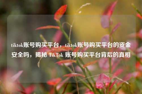 tiktok账号购买平台，tiktok账号购买平台的资金安全吗，揭秘 TikTok 账号购买平台背后的真相  第1张