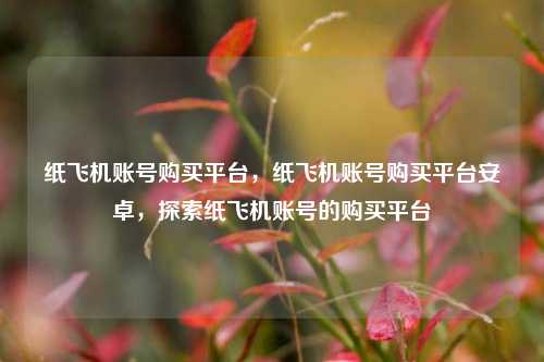 纸飞机账号购买平台，纸飞机账号购买平台安卓，探索纸飞机账号的购买平台