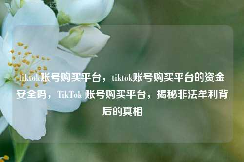 tiktok账号购买平台，tiktok账号购买平台的资金安全吗，TikTok 账号购买平台，揭秘非法牟利背后的真相