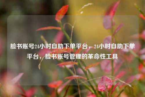 脸书账号24小时自助下单平台，24小时自助下单平台，脸书账号管理的革命性工具