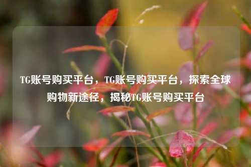 TG账号购买平台，TG账号购买平台，探索全球购物新途径，揭秘TG账号购买平台