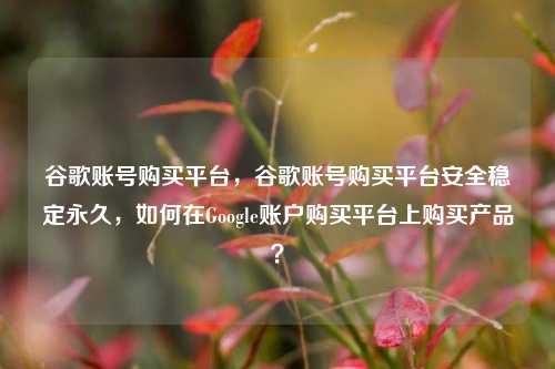 谷歌账号购买平台，谷歌账号购买平台安全稳定永久，如何在Google账户购买平台上购买产品？