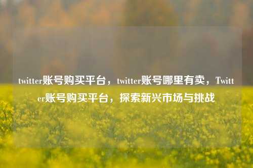 twitter账号购买平台，twitter账号哪里有卖，Twitter账号购买平台，探索新兴市场与挑战