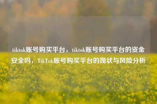 tiktok账号购买平台，tiktok账号购买平台的资金安全吗，TikTok账号购买平台的现状与风险分析