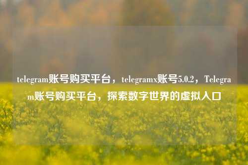 telegram账号购买平台，telegramx账号5.0.2，Telegram账号购买平台，探索数字世界的虚拟入口
