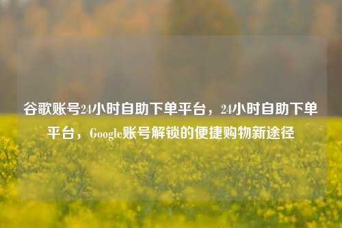 谷歌账号24小时自助下单平台，24小时自助下单平台，Google账号解锁的便捷购物新途径