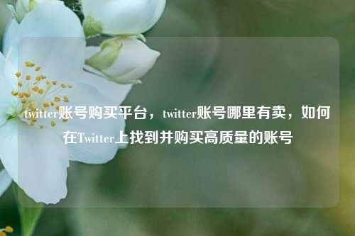 twitter账号购买平台，twitter账号哪里有卖，如何在Twitter上找到并购买高质量的账号