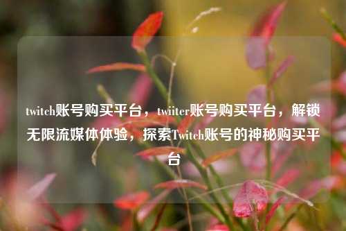 twitch账号购买平台，twiiter账号购买平台，解锁无限流媒体体验，探索Twitch账号的神秘购买平台