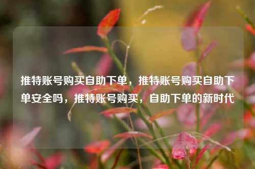 推特账号购买自助下单，推特账号购买自助下单安全吗，推特账号购买，自助下单的新时代